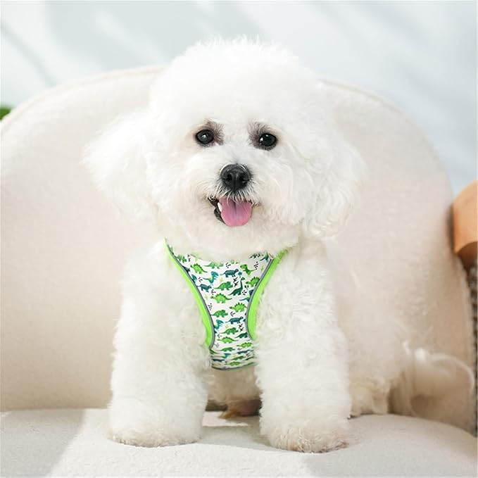 Step in Dog Harness No Pull Dinosaur Adjustable Soft Mesh Harness | Padded Reflective Pet Vest Harness and Leash Set for Small Medium Dogs - Image 5