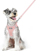 rabbitgoo Dog Harness Medium Sized and Leash Set, Step-in Puppy Pet Vest | Light, Soft, Breathable Air Mesh, Easy on and Remove with Hook & Loop, Secure Reflective for Walking, Pink XL by rabbitgoo