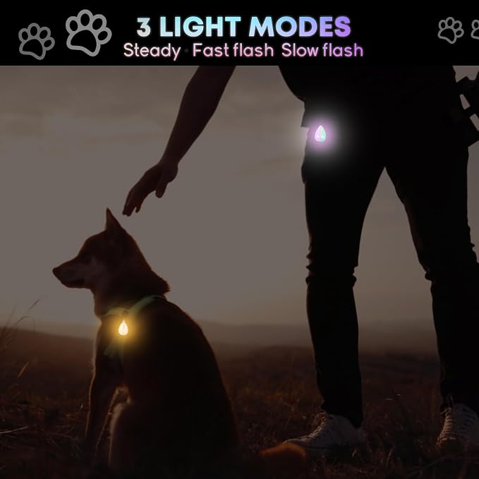 2-Pack Rechargeable Dog Light, Dog Collar Light,Waterproof,3 Modes LED Dog Safety Lights,Multiple Color Options,Clip On Collar, Leash or Harness，Night Light for Running,Walking(White&Orange) - Image 2