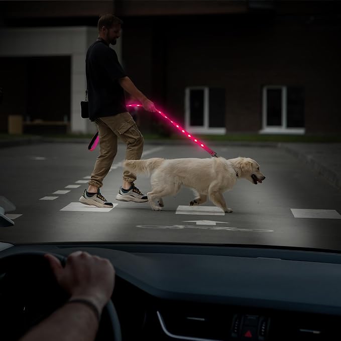 Illumifun LED Dog Leash - USB Rechargeable Light Up Dog Leash Glow in the Dark, Nylon Glowing Dog Lead for Your Dogs Walking (PinkⅡ) - Image 7