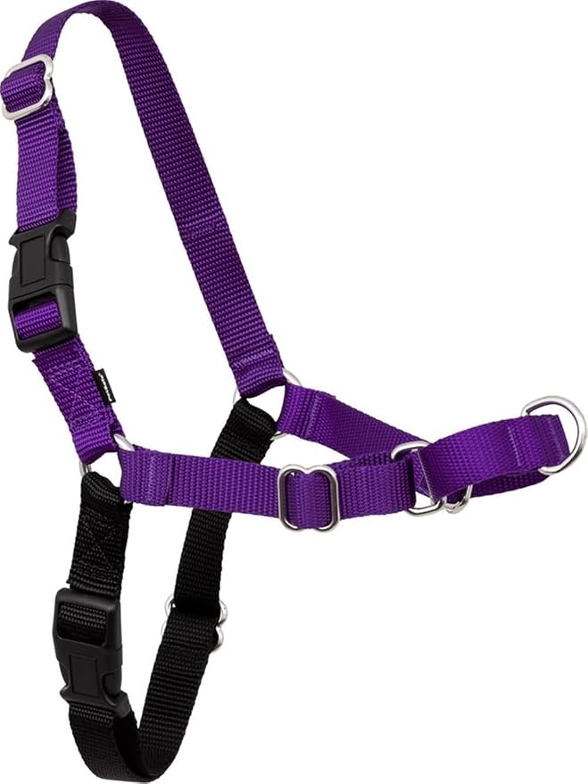 PetSafe Easy Walk Harness, No Pull Dog Harness, Black, Medium/Large | Patented Martingale Loop Gives Gradual Shoulder Pressure to Stop Pulling, Front-Chest Leash Clip Prevents Gagging by PetSafe