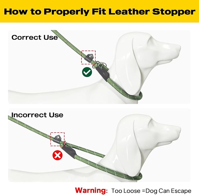 Fida Durable Slip Lead Dog Leash, 6 FT x 3/8" Dog Training Leash, Green | For Small Dogs and Puppies, Comfort Heavy Duty Rope Slip Leash, Highly Reflective for Night Safety, No Pull Pet Loop Leash - Image 7