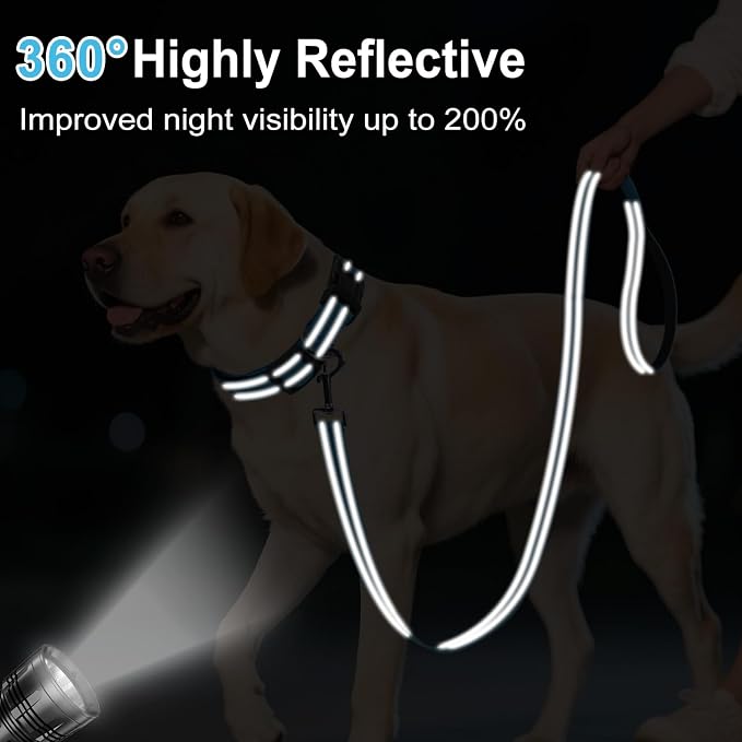 4FT Reflective Dog Leash, Padded Handle for Small Medium Dogs | Comfortable Nylon, Soft Handle Cushioning, Reflective Safety at Night, Training Leash for Park & Hiking (3/4in, Aqua Blue) - Image 3