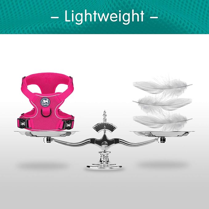 PoyPet Mesh Dog Harness, Reflective Breathable Puppy Vest for Large Dogs | Lightweight, Soft Air Mesh, Back D-ring, Adjustable, Comfortable, Double Padded, No Choke, for Daily Walking, L, Fuchsia - Image 5