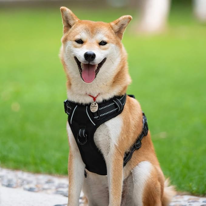 PoyPet No Pull Dog Harness Small, Reflective Vest with Front Clip & Handle | Easy On/Off, No Choke, Adjustable, 2 Leash D-rings, Soft Padded, Breathable, Oxford, for Walking Training, S, Black - Image 2
