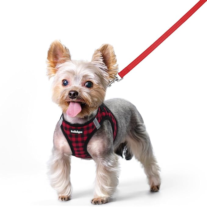 rabbitgoo Dog Harness Small Sized and Leash Set, Step-in Puppy Pet Vest | Light, Soft, Breathable Air Mesh, Easy on and Remove with Hook & Loop, Secure Reflective for Walking, Red Check XS by rabbitgoo