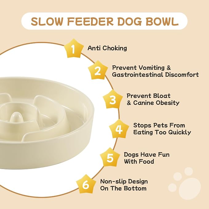 Havniva Elevated Slow Feeder Dog Bowls, Ceramic Dog Bowl Slow Feeder Set | 0.9 Cups Raised Slow Feeder Dog Bowl for Small Breed, 6.1” Dog Water Bowl with Wooden Stand, Puzzle Dog Food Bowl, Non-slip - Image 6