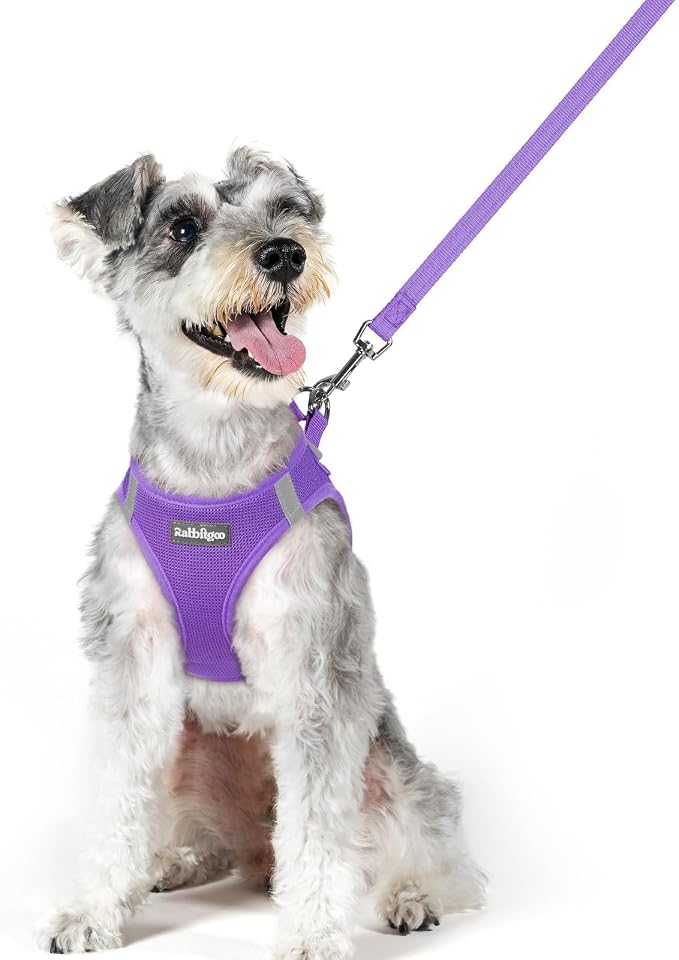 rabbitgoo Dog Harness Medium Sized and Leash Set, Step-in Puppy Pet Vest | Light, Soft, Breathable Air Mesh, Easy on and Remove with Hook & Loop, Secure Reflective for Walking, Purple XL by rabbitgoo