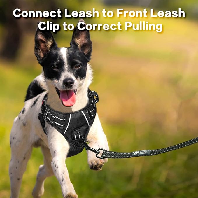 PoyPet No Pull Dog Harness with 3 Leash Clips and Vertical Handle | No Choke, Reflective, Adjustable, Soft Padded, Dog Vest for Large Dogs, Walking Training, Black, L - Image 4