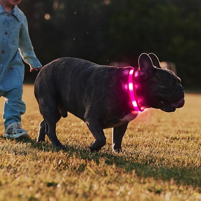 Illumifun Light Up Dog Collar - USB Rechargeable LED Dog Collar Glow in the Dark, High Visibility Glow Collar Light for Nighttime Walking (Medium, Light Pink) - Image 7
