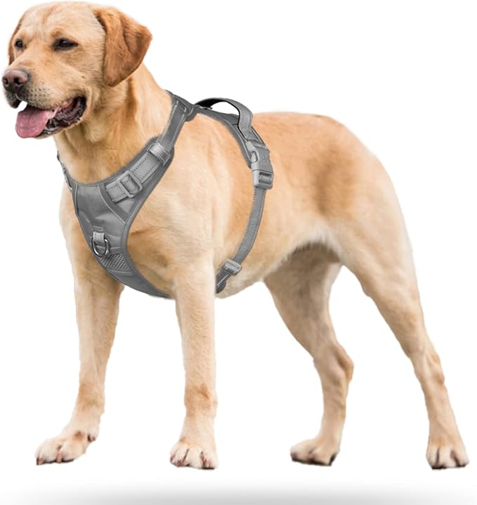 PoyPet No Pull Dog Harness, Reflective Vest with 2 Leash Clips & Handle | Lockable Neck Release Buckle, No Choke, Adjustable, Soft Padded, for Walking Training, Gray, Large - Image 4