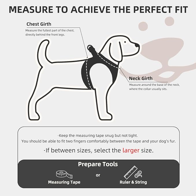 PUPTECK Dog Harness, Collar and Leash Set No Pull for Small Medium Sized | Plaid Puppy Step-in Escape Proof Reflective No Choke Pet Cat Adjustable Walking Vest - Image 2