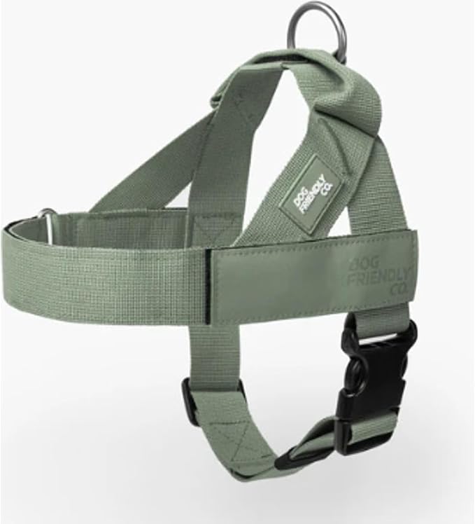 Dog Friendly Co. Dog Harness for Medium Sized Dogs (Khaki, Medium) | One Click Buckle, Chafe Resistant Webbing, Adjustable Neck & Chest, and Heavy Duty D-Ring, Sturdy Comfortable and Easy to Use by DogFriendly