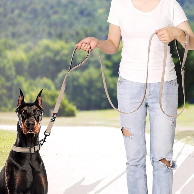 Plutus Pet Double Handle Dog Leash, 4 FT Long, for Medium Large Dogs | Reflective Nylon, Soft Padded 2 Handles, Heavy Duty for Training, Dual Handle Lead, 4 FT x 1”, Beige - Image 4