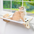 AMOSIJOY Cat Windowsill Perch with Wood & Metal Frame for Large Cat, 24.4in | Solid Wood Frame, Easy to Adjust, Washable Berber Fleece Cover, No Suction Cups Cat Window Seat for Windowsill, Bedside by AMOSIJOY
