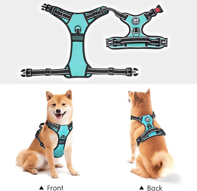 PoyPet No Pull Dog Harness Small with Front Clip & Neck Release Buckle | No Choke, Adjustable Vest, Reflective, Back Clip, Lockable, Soft Padded Handle for Walking Training, XS, Mint Blue - Image 5