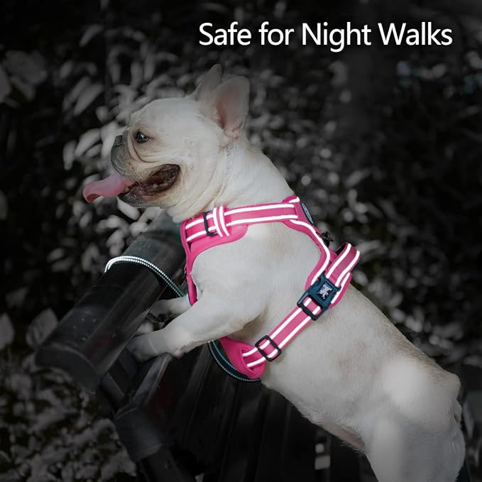 PoyPet No Pull Dog Harness, Reflective Vest with 2 Leash Clips & Handle | Lockable Neck Release Buckle, No Choke, Adjustable, Soft Padded, for Walking Training, Pink Matching Trim, X-Small - Image 4