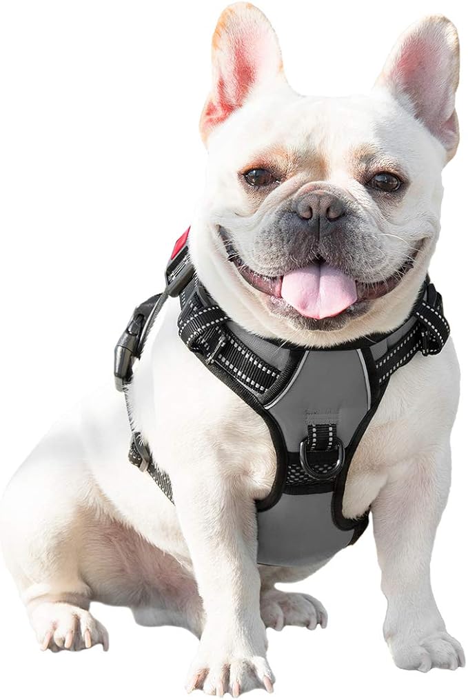No Pull Dog Harness Medium Reflective Front Clip Vest with Handle | Adjustable 2 Metal Rings 3 Buckles,[Easy to Put on & Take Off](XL, Grey) - Image 6