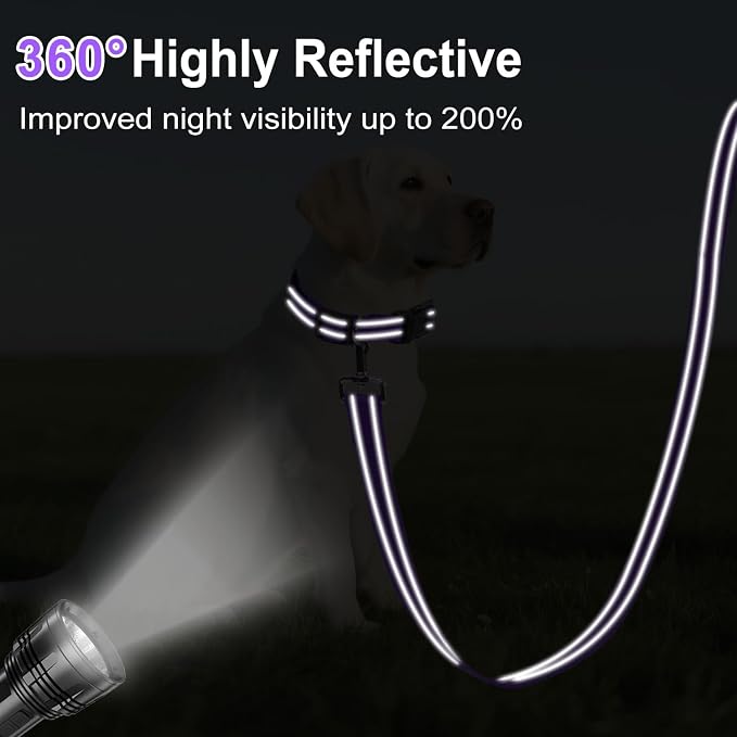 6FT Reflective Dog Leash, Padded Handle for Small Medium Dogs | Comfortable Nylon, Soft Handle Cushioning, Reflective Safety at Night, Walking Leash for Park & Hiking (3/4in, Purple) - Image 3