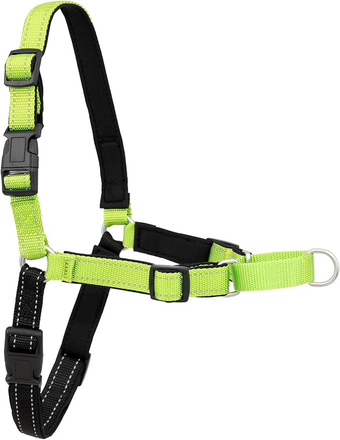 PetSafe Deluxe Easy Walk No Pull Dog Harness, Apple Green, Medium/Large | Padded Neoprene Straps, Reflective Strips for Night Safety, Martingale Loop Curbs Pulling from the Chest, Not the Throat by PetSafe