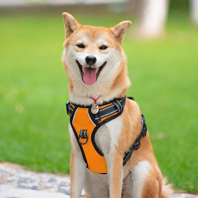 PoyPet No Pull Dog Harness Small, Reflective Vest with Front Clip & Handle | Easy On/Off, No Choke, Adjustable, 2 Leash D-rings, Soft Padded, Breathable, Oxford, for Walking Training, XS, Orange - Image 2