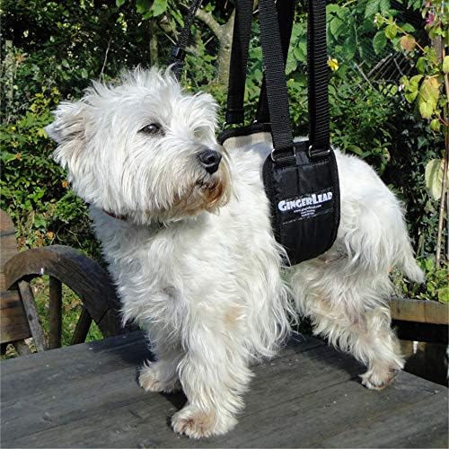 Dog Rear Sling Support Harness, SM Female, Machine Wash & Dry | Fits Small to Medium Size Dogs or Larger Barrel-Chested Breeds like Boxers, Bullies. Padded, Integrated Leash. Made in U.S.A. - Image 6