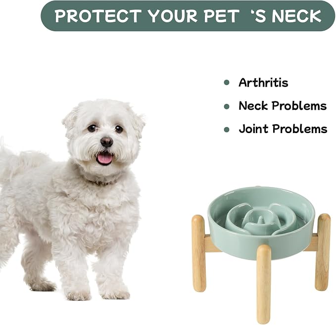 Havniva Elevated Slow Feeder Dog Bowls, Ceramic Dog Bowl Slow Feeder | 0.9 Cups Raised Slow Feeding Bowl for Small Breed, Puzzle Dog Food Bowl with Wooden Stand, Non-Slip, Anti-Choking - Image 7