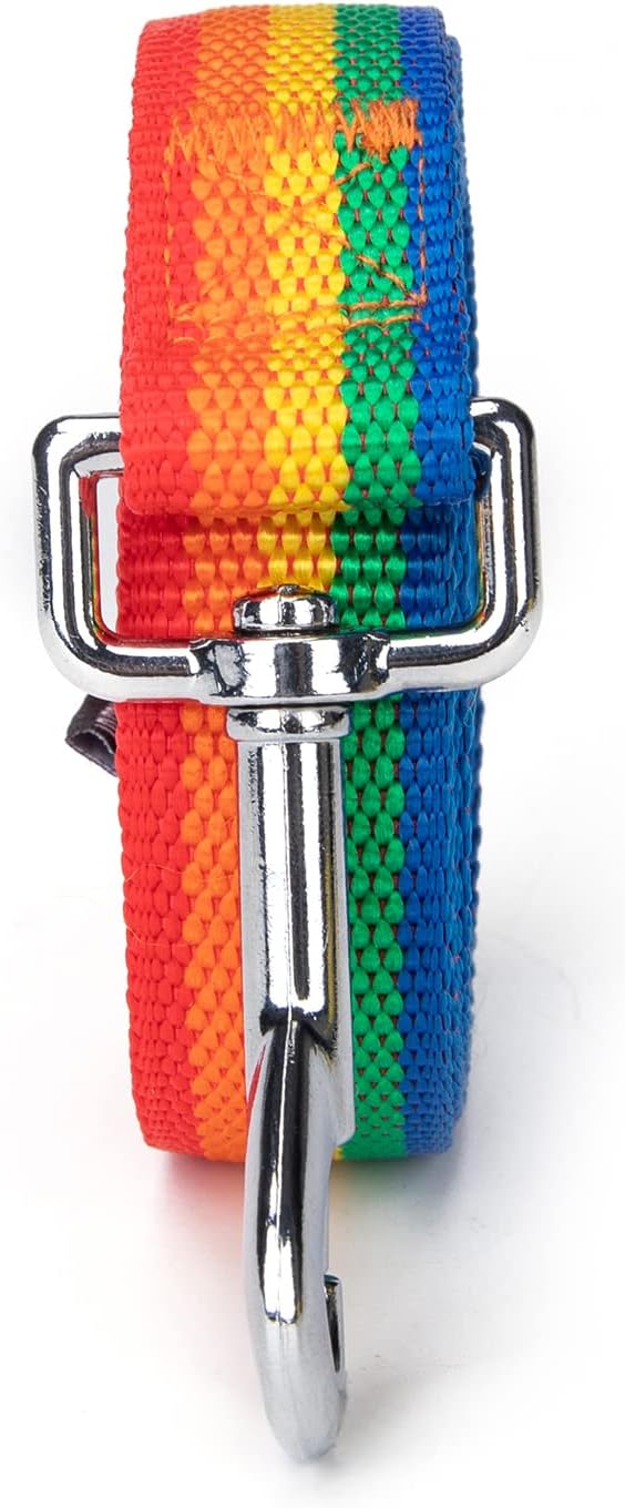 Strong Durable Nylon Dog Training Leash, 1 Inch Wide Traction Rope, 6 ft 10ft 15ft Long, for Small and Medium Dog (Rainbow, 10 Feet) - Image 7