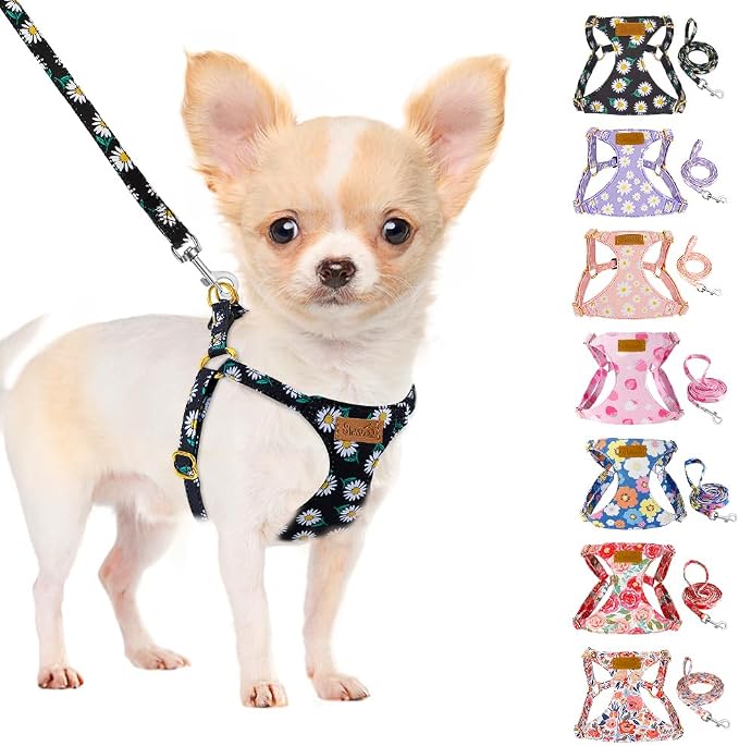 SlowTon No Pull Dog Harness with Leash for Small Medium Dogs, Black S | Floral Pattern, Step-in, Lightweight, Easy Put On and Off, No Choke, Soft Cotton and Suede for Daily Walking by SlowTon