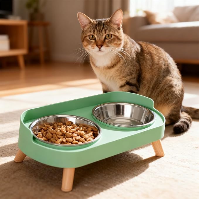 Elevated Cat Bowls, 2 Stainless Steel Raised Cat Food and Water Bowl Set, Splash Proof & Non-Slip, Whisker Fatigue Friendly, Dishwasher Safe for Cats and Small Dogs - Green - Image 5
