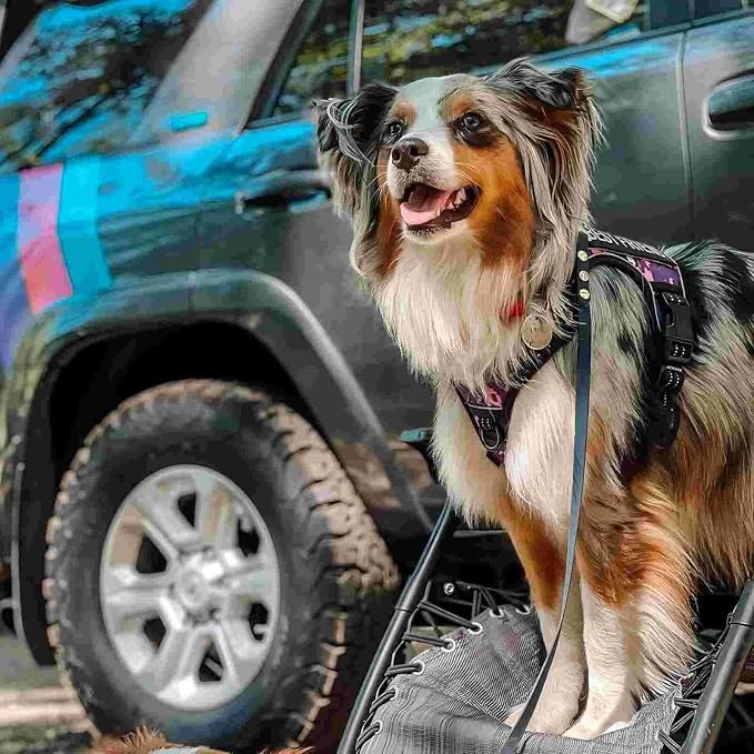 AUROTH Tactical Dog Harness for Extra Large Dogs, Heavy Duty No Pull Vest | Easy Control with Handle, Reflective, Military K9, No Choke, 2 Clips, for Walking Hunting Hiking Training, Purple Camo, XXL - Image 3