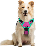 rabbitgoo Dog Harness, No Pull Medium Sized with 2 Leash Clips, Pet Vest | No Choke with Handle, Adjustable Soft Padded, Reflective, Easy Control for Walking, Hot Pink & Turquoise, Medium by rabbitgoo