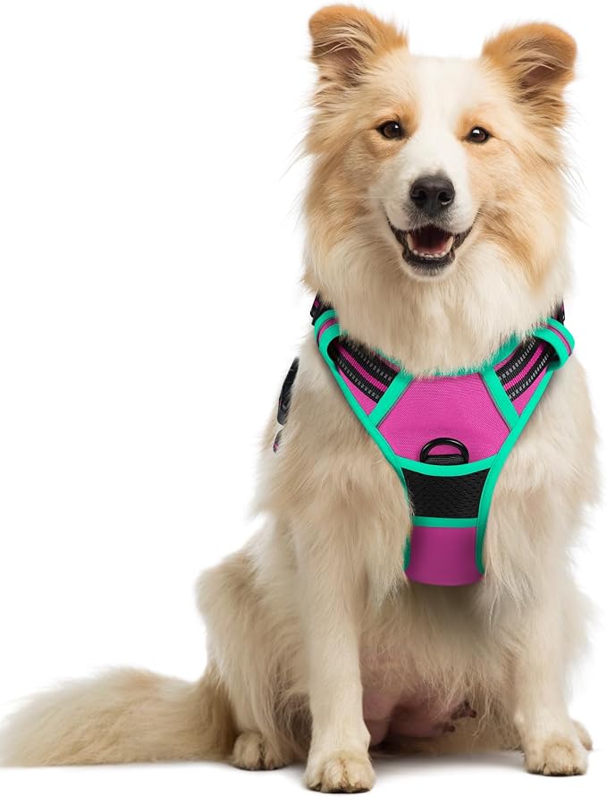rabbitgoo Dog Harness, No Pull Medium Sized with 2 Leash Clips, Pet Vest | No Choke with Handle, Adjustable Soft Padded, Reflective, Easy Control for Walking, Hot Pink & Turquoise, Medium by rabbitgoo