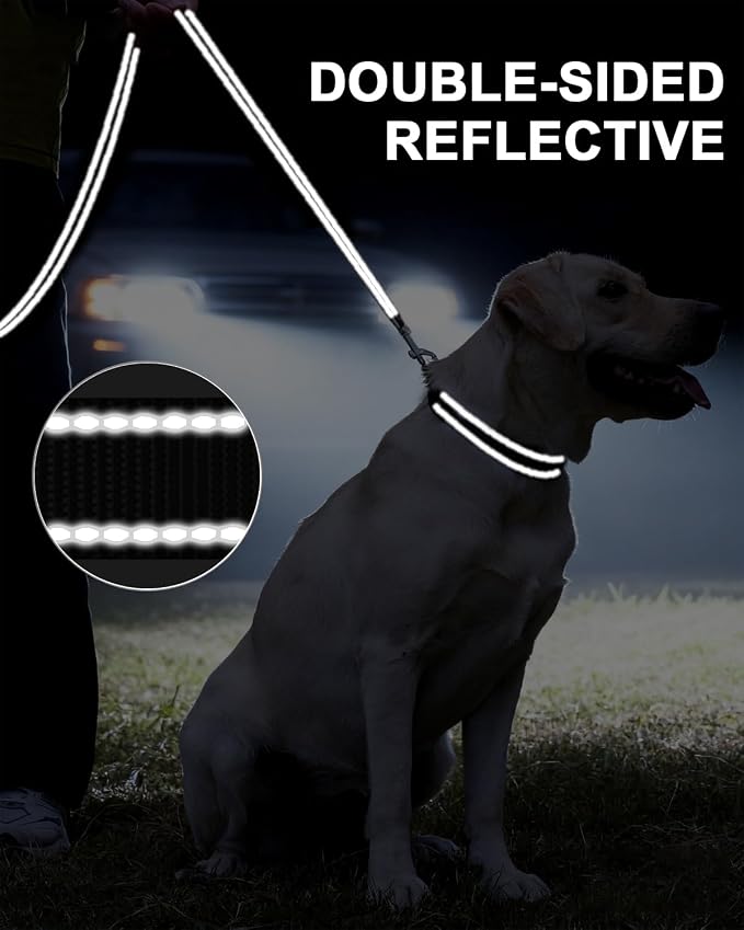 Taglory Reflective Dog Leash for Small Dogs, 3/4in x 5ft, Black | Ideal for Night Walking, Strong for Sudden Pulls, Lightweight & Gentle on the Neck, Soft Padded Handle - Image 5