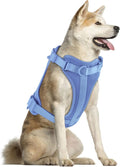 Wisedog Lightweight No Pull Dog Harness, Blue, Large | Air Mesh, 3 Clips, Adjustable, No Choke Design, Ideal for Walking Training by WisedogPetSupplies
