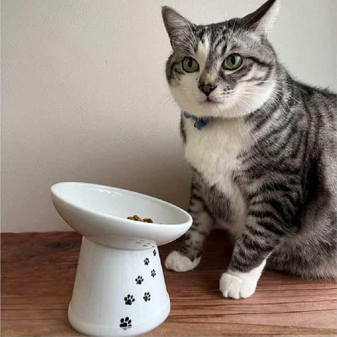 Necoichi Ceramic Elevated Cat Food Bowl, 15° Tilted (Cat, Extra Wide Tilted) - Image 2