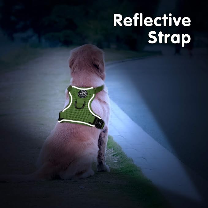 PoyPet Mesh Dog Harness, Reflective Breathable Puppy Vest for Large Dogs | Lightweight, Soft Air Mesh, Back D-ring, Adjustable, Comfortable, Double Padded, No Choke, for Daily Walking, L, Grass Green - Image 6