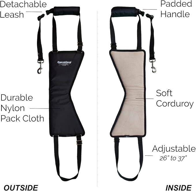 Dog Support Harness, Rear End Lift Sling, Tall Male, Made in USA | Fits Tall, Lean Dogs like Greyhounds or Great Danes, Padded Mobility Aid, Help Pets Walk or Balance, Machine Wash & Dry - Image 4