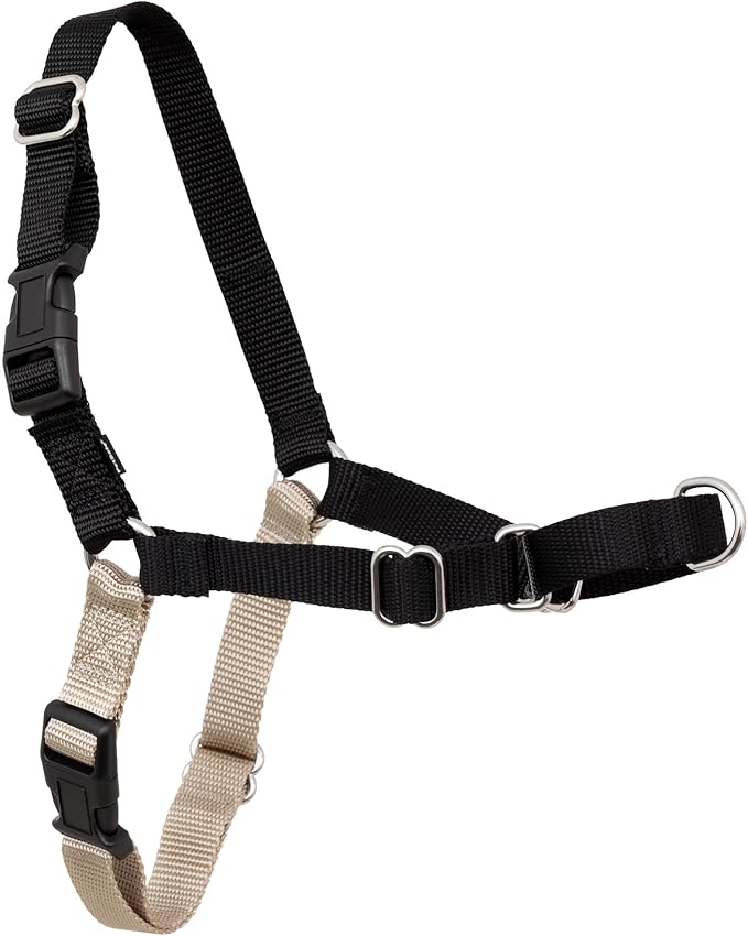 PetSafe Easy Walk Harness, No Pull Dog Harness, Black, Small | Patented Martingale Loop Gives Gradual Shoulder Pressure to Stop Pulling, Front-Chest Leash Clip Prevents Gagging by PetSafe