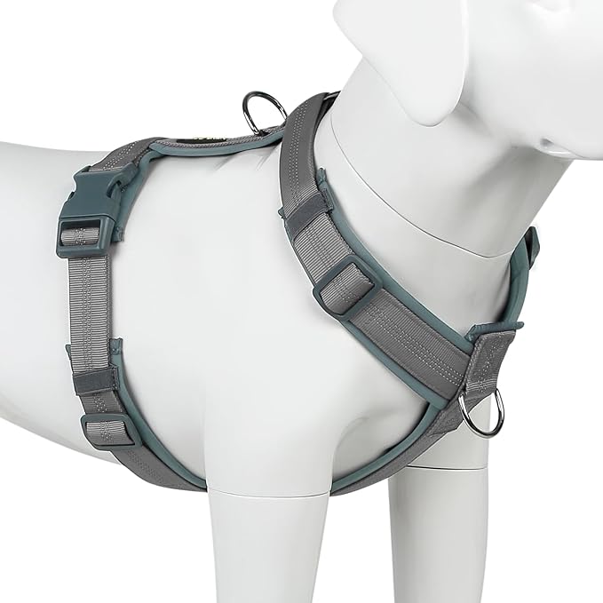 Plutus Pet No Pull Dog Harness, Adjustable Nylon Harness with Soft Padding | Reflective with Front Clip, Heavy Duty for Training and Walking, for Small Medium Large Dogs, Gray, L by PLUTUSPET