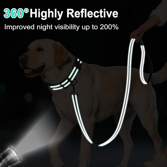 4FT Reflective Dog Leash, Padded Handle for Medium Large Dogs | Comfortable Nylon, Soft Handle Cushioning, Reflective Safety at Night, Training Leash for Park & Hiking (1in, Turquoise) - Image 3