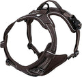 TRUE LOVE Adjustable No-Pull Dog Harness Reflective Pup Vest Harnesses Comfortable Control Brilliant Colors Truelove TLH5651(Brown,XS) | Front Clip, No-Choke, Soft Padded, Control Handle, Anti Escape, Dog Car Harness, Walking and Training, Escape Proof... by TRUELOVE