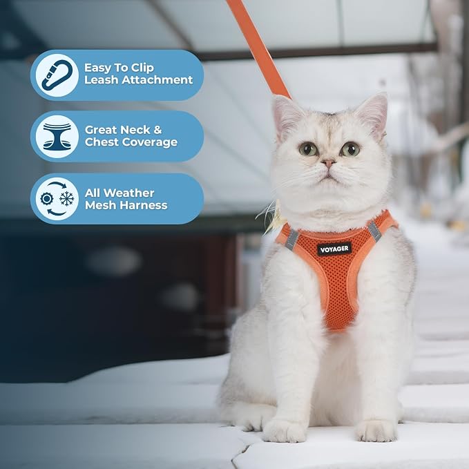 Voyager Step-in Air Cat Harness & Leash Set - Orange, S | 14 - 16" in Chest, Reflective Bands, All Weather Breathable Air Mesh, Cats Compatible, Fast Drying - Image 5