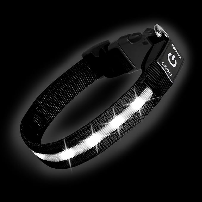 Super Bright LED Dog Collar, Waterproof Light up Collars(White, Medium) | Lighted Dog Collar with Adjustable Fit, Soft Nylon Comfort, USB-C Rechargeable, Glow in the Dark Visibility for Night Walks by PetIsay