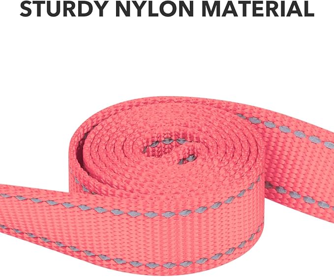 Taglory Reflective Dog Leash for Medium Large Dogs, 1in x 5ft, Pink | Ideal for Night Walking, Strong for Sudden Pulls, Lightweight & Gentle on the Neck, Soft Padded Handle - Image 3