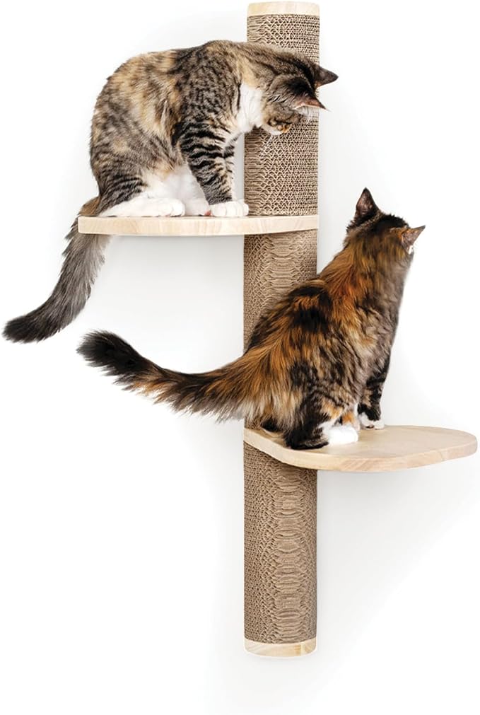 Cat Climbing Wall System – Modern Floating Shelves & Perches for Cats - Sunrise Steps | Ascentials by FurHaven by FurHaven