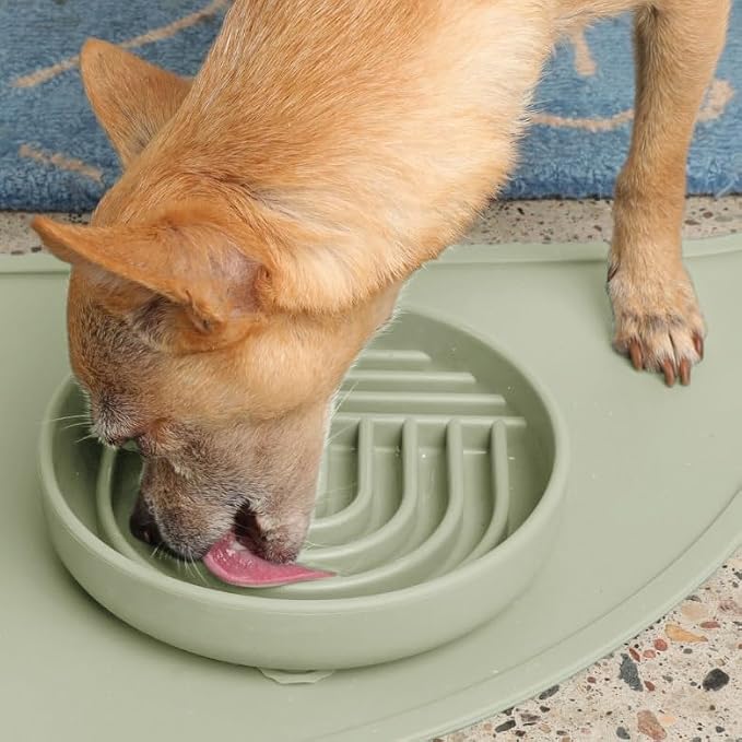 Should We Go? Slow Feeder Dog Bowls - Small Size Silicone Slow Eating Dog Bowl for Puppies & Dogs with Suction Cup -Dishwasher-Safe, Lick Mat Design, Reduces Gulping, for All Breeds, 6”x1.25”- Sage - Image 6