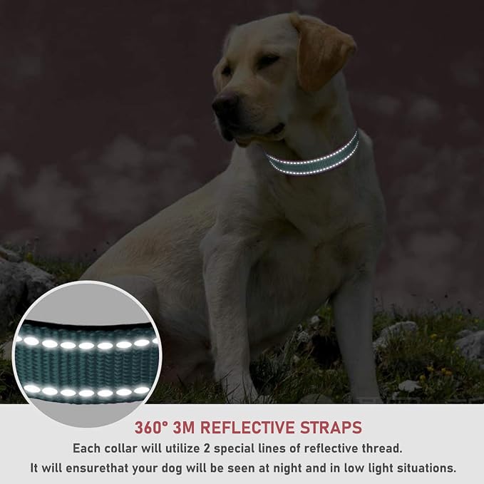 Reflective Dog Collar, Puppy Collar with Buckle Adjustable, Grey L | Breathable Nylon Collars for Small Medium Large Dogs, No Chafing on Walks and Outdoor Hikes, Metal D-Ring, Night Safety - Image 4