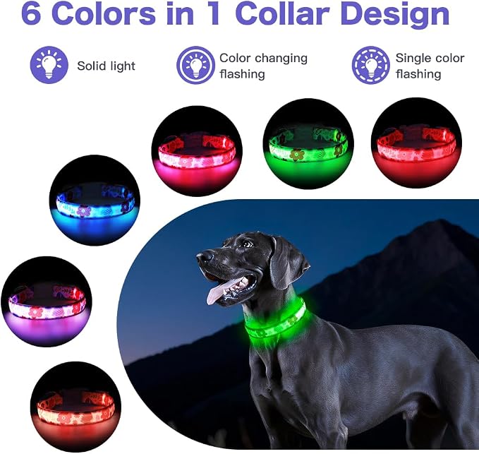 Light Up Dog Collar, USB Rechargeable, Floral Rose Print (L) | USB Rechargeable LED Dog Collar with Bright Light, Adjustable Fit, Floral Daisy Rose Design for Safe Night Walks - Image 2