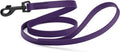 Dogline Biothane Waterproof Dog Leash Strong Coated Nylon Webbing with Black Hardware Odor-Proof Easy to Clean High Performance for Small or Large Dogs Made in USA 4 or 6 ft Lead, Violet Purple by Dogline